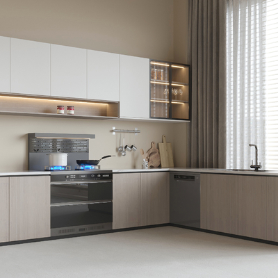 Modern Kitchen Cabinets