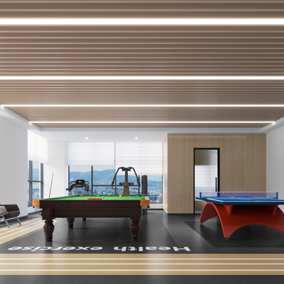 Table Tennis Activity Room