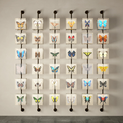 taxidermy butterfly taxidermy wall