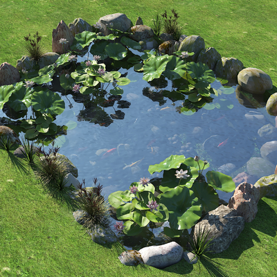 Modern Ecological Fish Pond Pool Fish Pond Lotus Pond