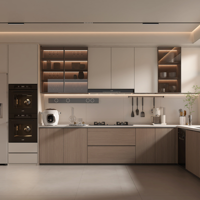 Modern Kitchen Cabinets