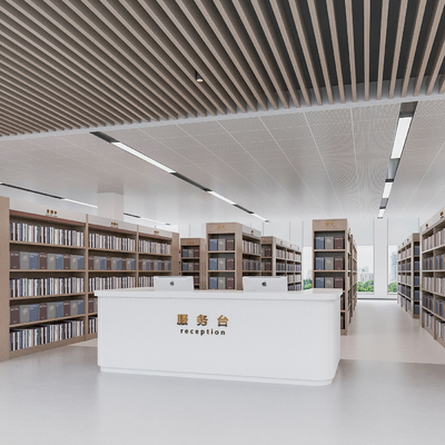 Modern Library Borrowing Room