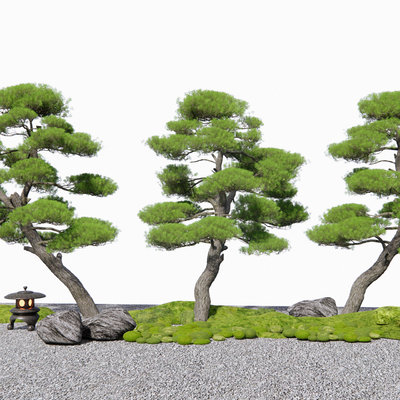 Neo-Chinese Style Landscape Pine Pohan Pine