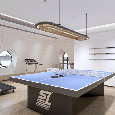 modern table tennis room recreation room