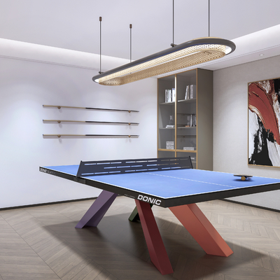 modern table tennis room recreation room