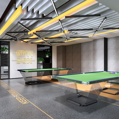 Modern Billiard Room