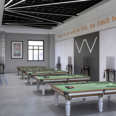 Modern Billiard Hall Billiard Room