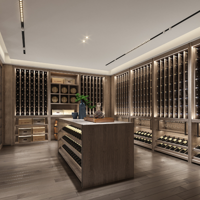 Wine cellar Modern tasting room