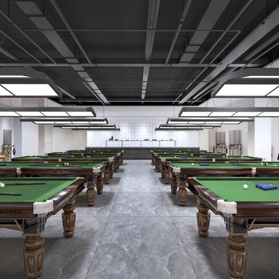 Modern Billiard Room