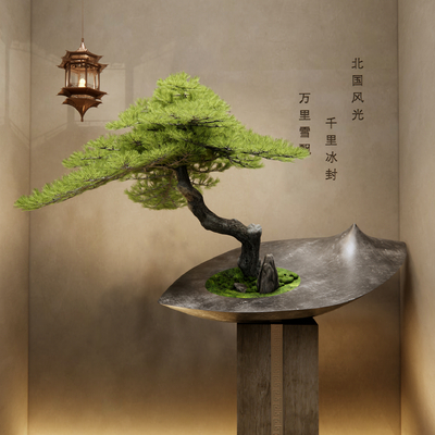 Neo-Chinese Style Pok Han Pine Bonsai Pine