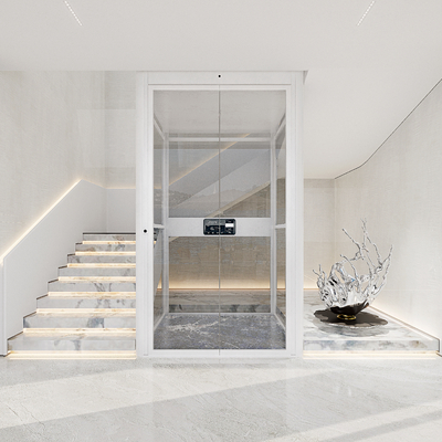 Modern Villa Glass Elevator