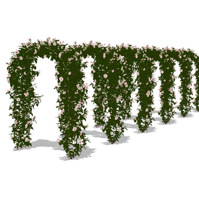 Flower Arch Porch Rack Plant Climbing Rack Rose Flower Rack