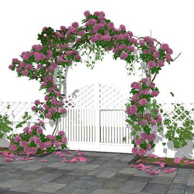 Flower Arch Porch Rack Plant Climbing Rack Rose Flower Rack