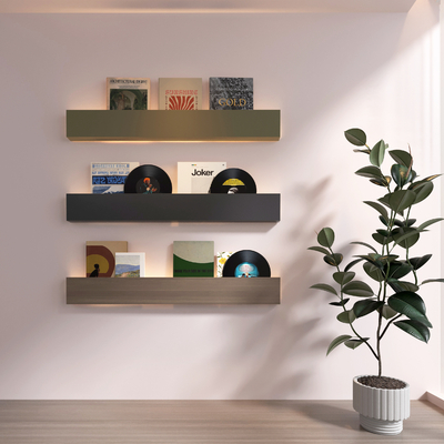 Modern Magazine Book Record Bookshelf