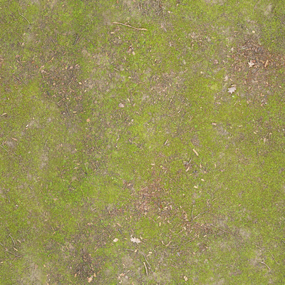 Turf ground