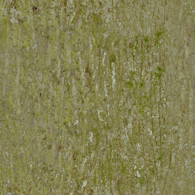 bark pattern