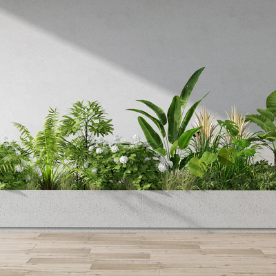 Modern Plant Flower Box Plant Landscape