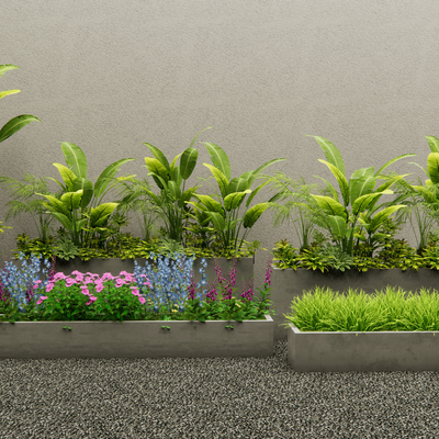 modern plant flower box flowers and plants green plant