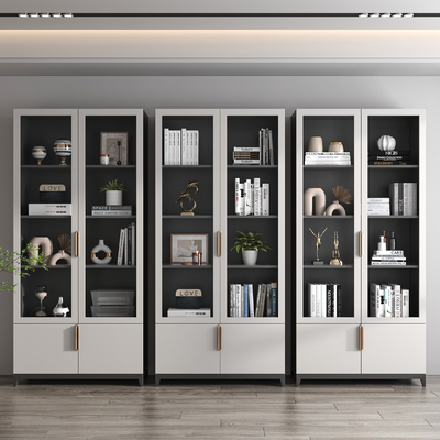 Modern Bookcase Locker