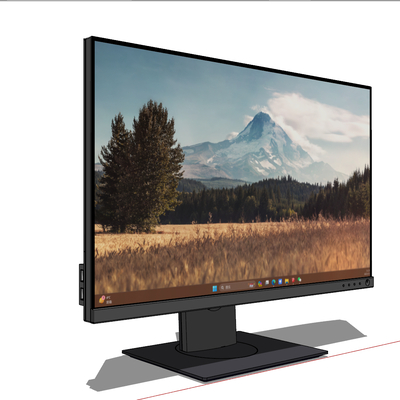 Dell Monitor