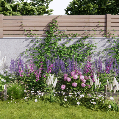 Modern Flower Border Plants Flowers Plants Flowers