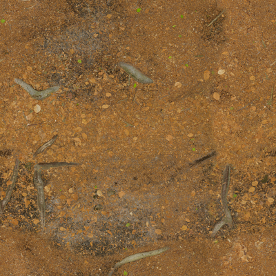 Brown ground leaf root texture