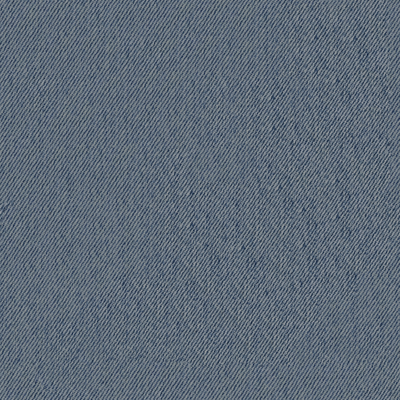 Denim Blue Fabric