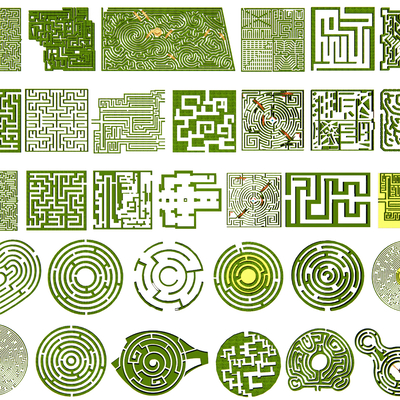 Shrub Maze Amusement Maze