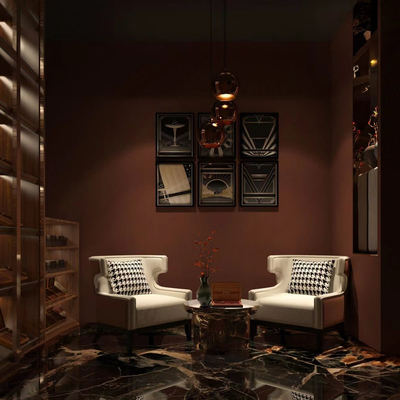 Modern Cigar Room