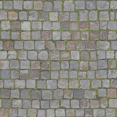 Paving Stones Moss Stone Step Road