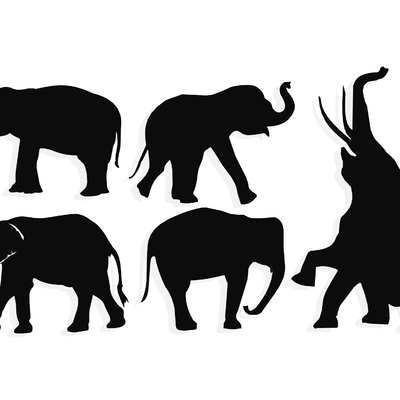 Elephant Animal Silhouette Wall Decorations