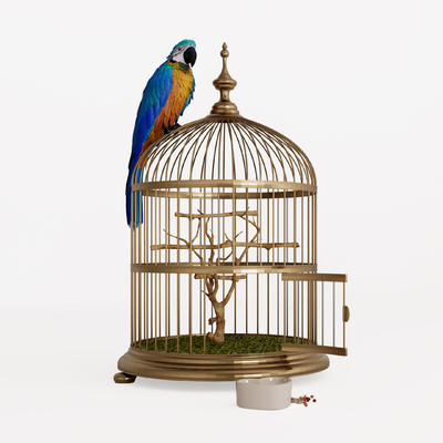 Metal Birdcage Device Parrot