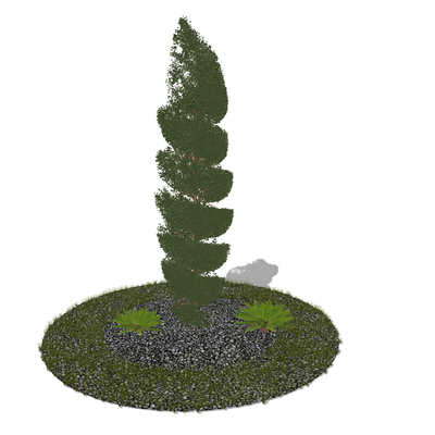 landscape plants shrub modeling tree