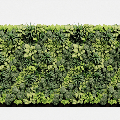 Modern landscape hedge wall