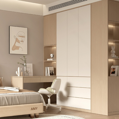 Modern Wardrobe Decorative Cabinet Bookcase