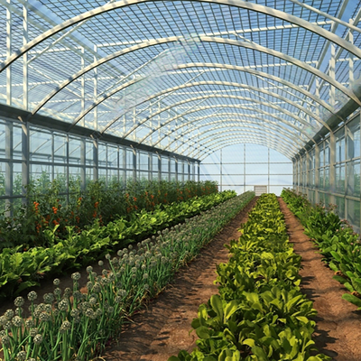 Greenhouse Landscape Vegetable Greenhouse