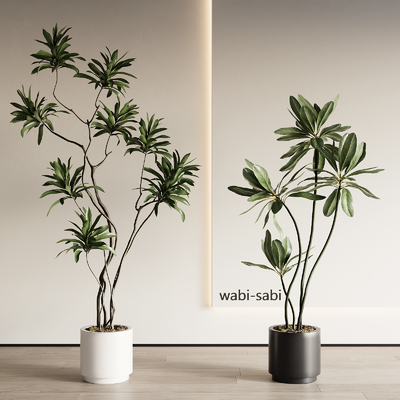 Modern potted plants