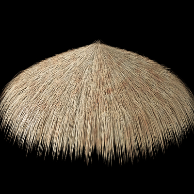 Round Roof Thatch