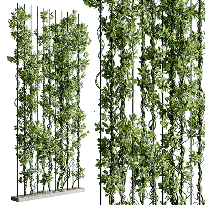 Modern Green Wall