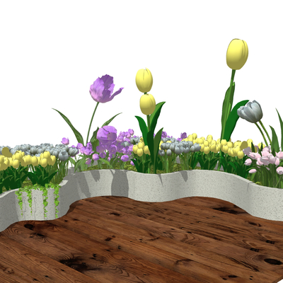 Tulip flowerbed flowerbox