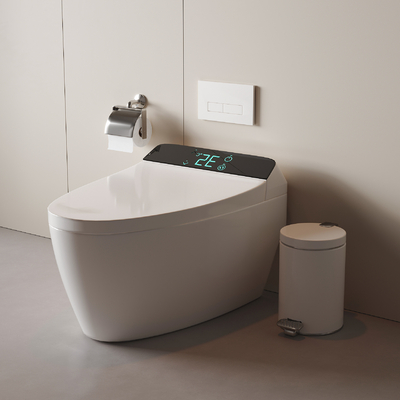 Smart Toilet Toilet