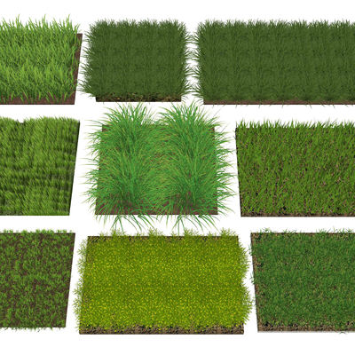 Modern Lawn Grass Turf Hay