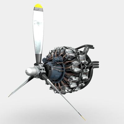 Propeller aircraft engine