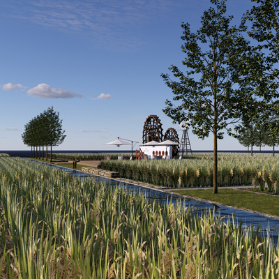 Modern Paddy Field Landscape Rice Industry Avenue