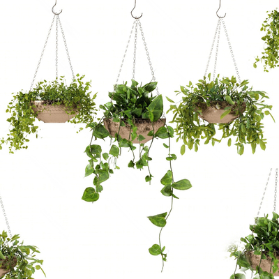 Modern Plant Hanging Basket