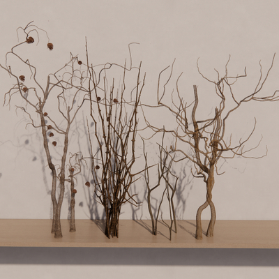 Dried branch branch trunk art decoration