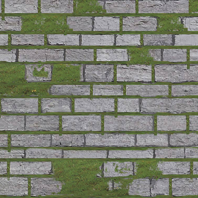 Grass inlaid stone bluestone ground