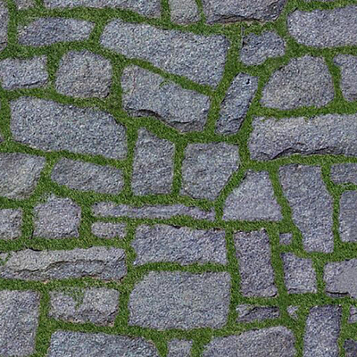 Grass embedded stone old stone gravel slab ground