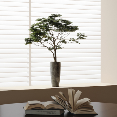 Modern Plant Book Ornaments