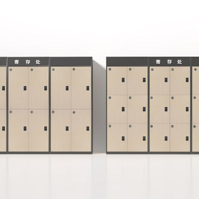 Locker Storage Cabinet Wardrobe Smart Cabinet